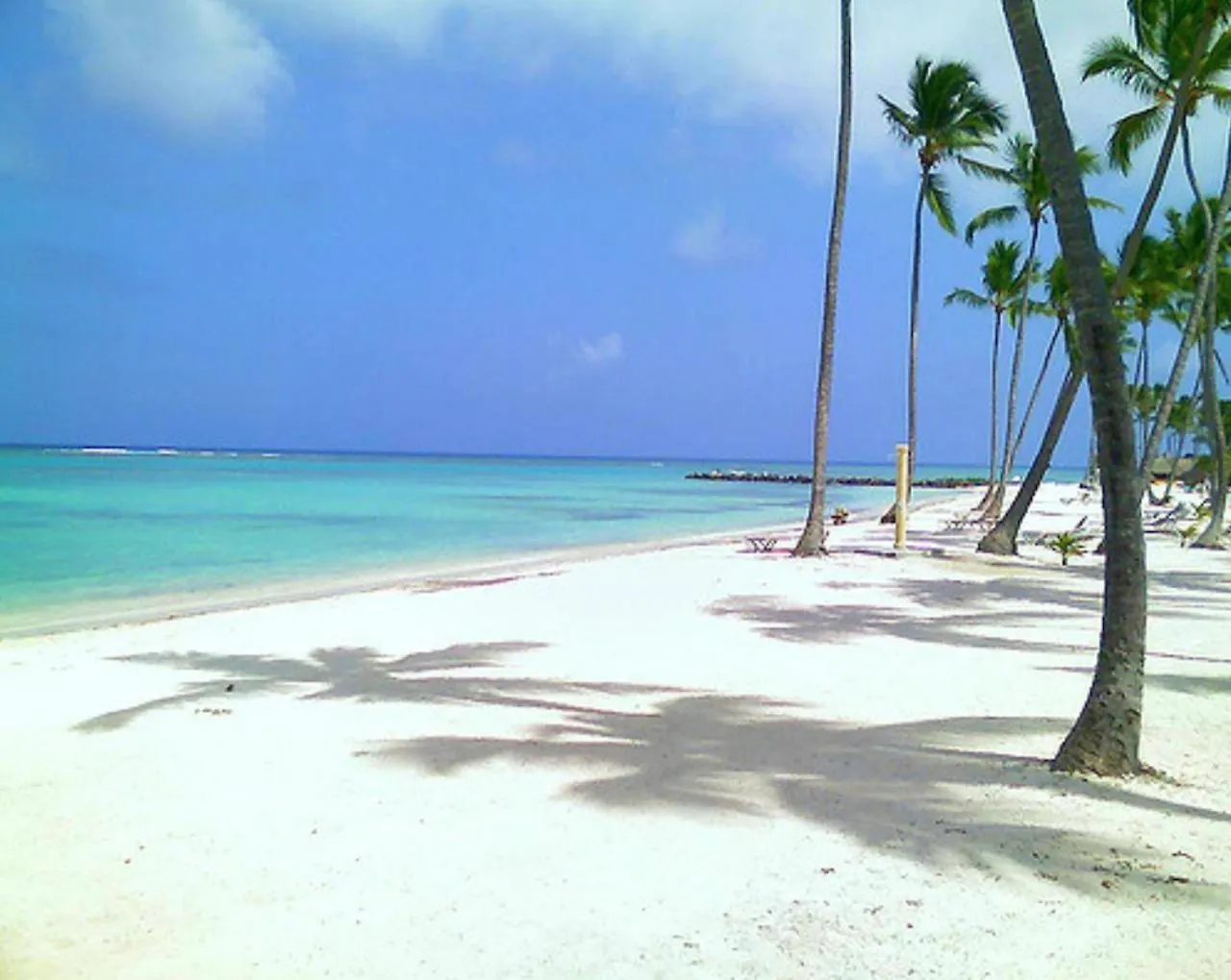 Truecost Suites Deluxe Playa Bavaro - Free Wifi & Free Beach Club Access Πούντα Κάνα Ξενοδοχείο